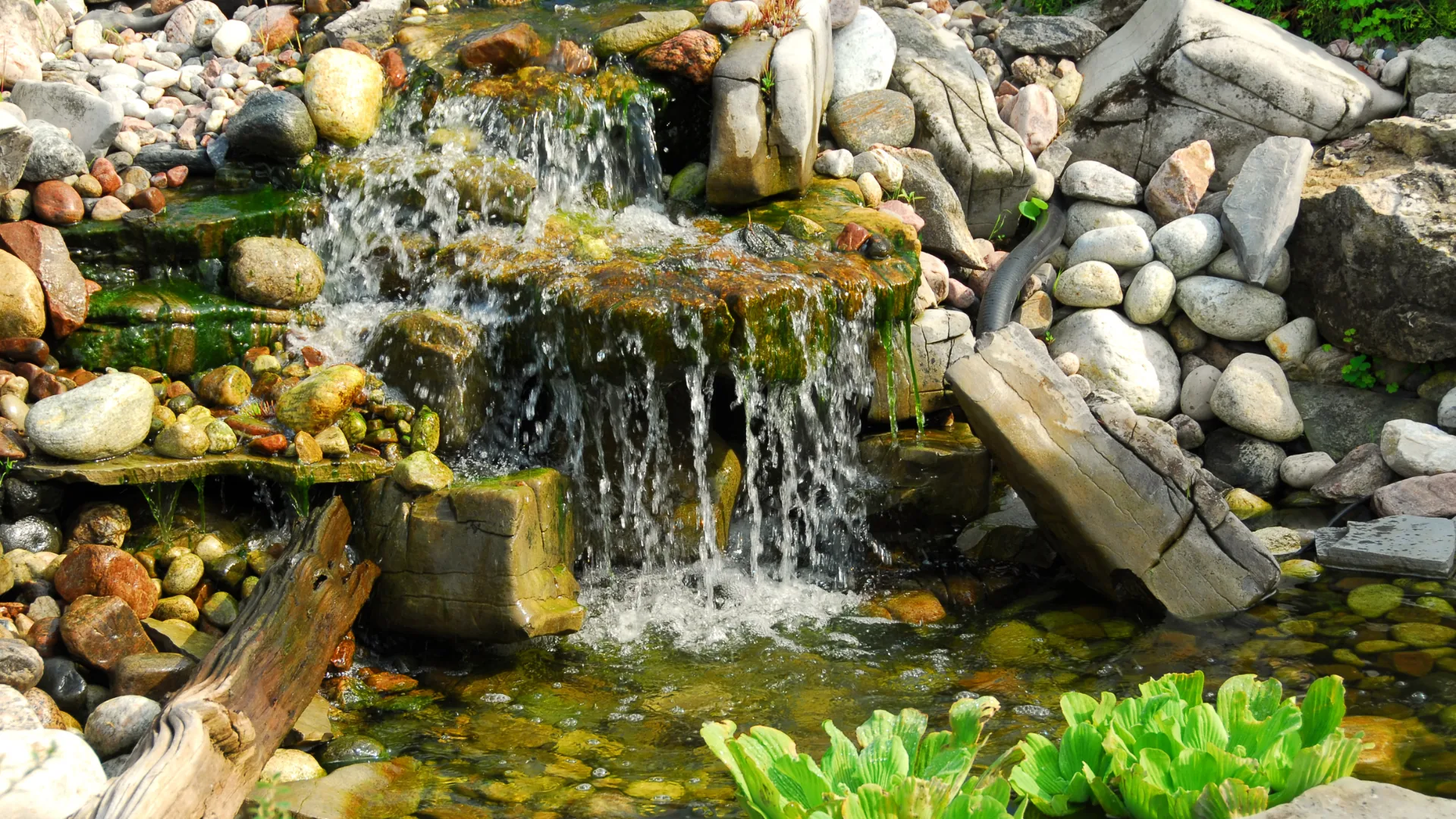 Teiche und Wasseranlagen